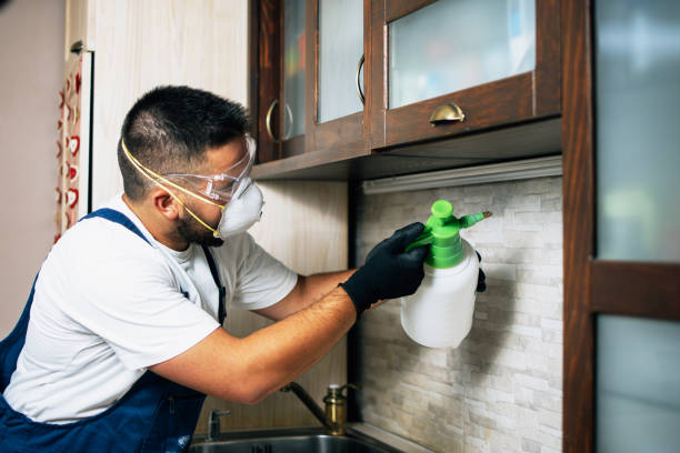 Best Pest Removal Services  in Briarcliff Manor, NY
