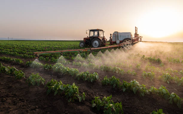 Best Mosquito Control Services  in Briarcliff Manor, NY