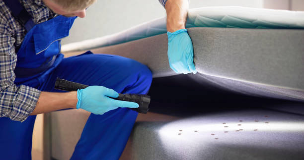 Best Pest Inspection Near Me  in Briarcliff Manor, NY