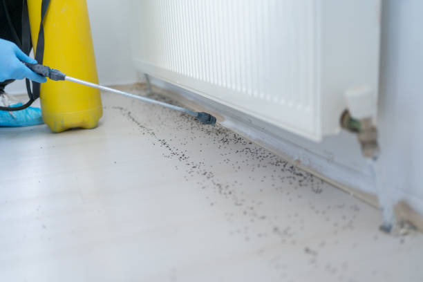 Best Residential Pest Control  in Briarcliff Manor, NY