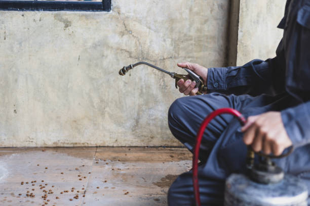 Best Exterminator Services  in Briarcliff Manor, NY